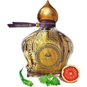 Osmanlı Oud Warriors Doğan Bey EDP 65 ML Erkek Parfümü – Odunsu Baharatlı – 4112