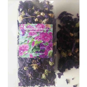 Viola Tohum ve Baharat Ebegümeci Çiçeği