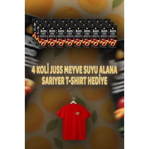 Elma Kayısı 27 x 200 ml
