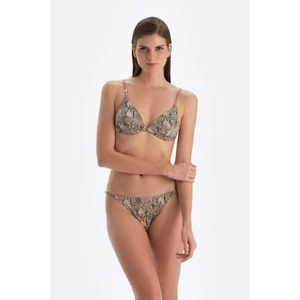 Kahverengi Leopar Düşük Bel Bikini Altı