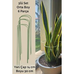 Bitki Destek Kazığı 3lü Set Orta Boy (6 Parça)