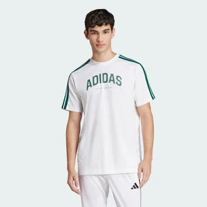 Adidas Sportswear JJ3868 Codes Collegiate Linear Graphic Tişört