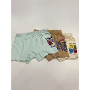Ays 3lü Erkek Boxer Set 1003-2