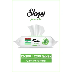 Pine Yüzey Temizlik Havlusu&mendili Çam Ferahlığı 12X100 (1200 Yaprak)