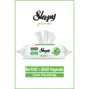 Pine Yüzey Temizlik Havlusu&mendili Çam Ferahlığı 6X100 (600 Yaprak)