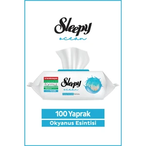 Ocean Yüzey Temizlik Havlusu&Mendili Okyanus Esintisi 100 Yaprak