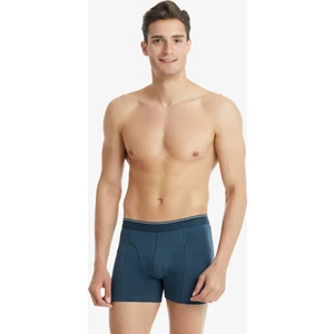 BLACKSPADE 9233 ERKEK BÜYÜK BEDEN TENDER COTTON ANTRASİT BOXER