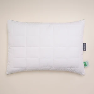 Thermoclean Yastık 50x70 cm