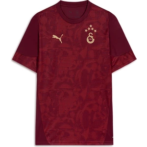Gs Store Galatasaray Puma A Takım Antrenman T-Shirt 78288403