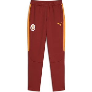 Gs Store Galatasaray Puma A Takım Eşofman Alt 78290301
