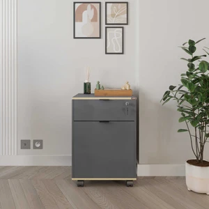 adore mobilya Rio Kilitli Çekmeceli Keson-Antrasitkontra 41X61X45 cm (Gxyxd)