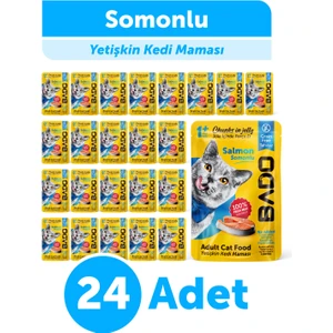 Yetişkin Yaş Kedi Maması Somonlu 85gr 24'lü