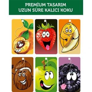Bymeyla 6 Adet Karışık Meyve Aroma Esanslı Oto Kokusu ve Torpido Aksesuarı