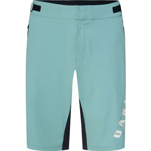 Free Ride Lined Short Erkek Siyah Şort