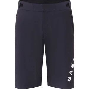 Free Ride Lined Short Erkek ̇ Şort