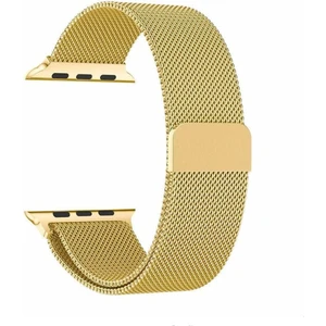 Apple Watch 10 42MM 6 7 8 9 10 Se Uyumlu 38 40 41MM Milano Metal Hasır Mıknatıslı Kordon Paslanmaz Çelik