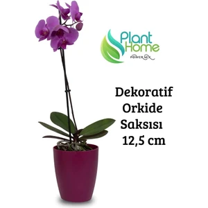 Dekoratif Vişne Orkide Saksısı-A Adet Set Fiyatlı-12 Pot Üretim Saksısına Uygun Kaliteli Ürün
