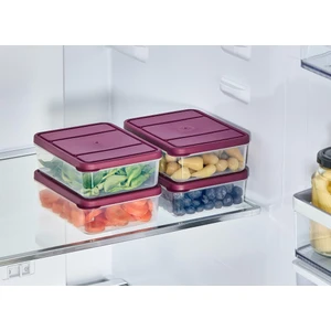 Selka Nora 4 Adet 0.5 Lt. Saklama Kabı