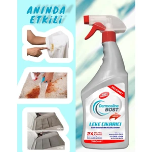 Bost Leke Çıkarıcı 750 ml