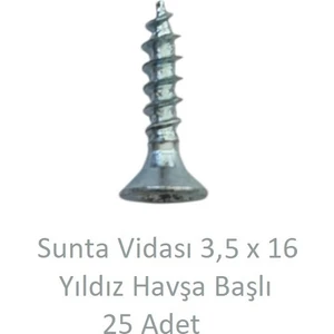 Sunta Vidası 3,5 x 16 mm 25 Adet Yhb Vida