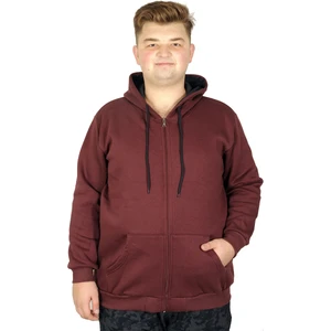 Mode Xl Erkek Sweatshirt Kapşonlu Zippered Basic 20543 Mürdüm