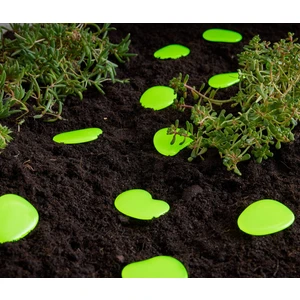 Işıldayan Çakıl Taşları