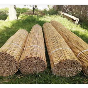 Polynaturel Bambu Kamış Hasır 2 Metre x 6 Metre