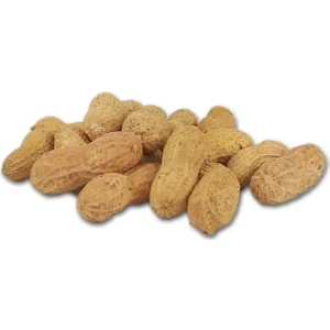 Tuğba Kuruyemiş Tuzlu Kabuklu Fıstık 1 kg
