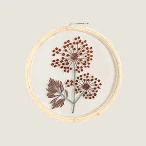 Pria Kasnaklı Duvar Dekoru Transparan