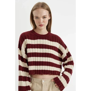 Regular Fit Çizgili Bisiklet Yaka Crop Triko Kazak A8152AX24WN