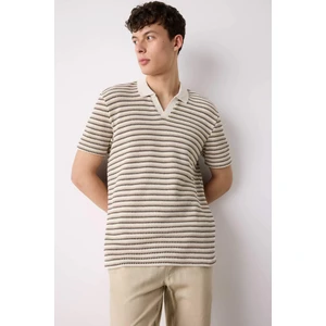Regular Fit Polo Yaka Çizgili Dokulu Kısa Kollu Tişört D7249AX25SP