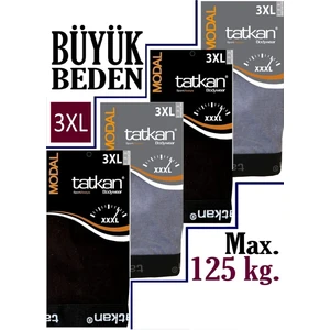 Tatkan - Büyük Beden 4'lü Erkek Penye Modal Boxershort