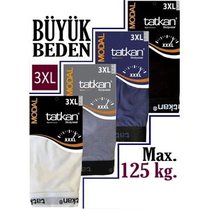 Tatkan - Büyük Beden 4'lü Erkek Penye Modal Boxershort