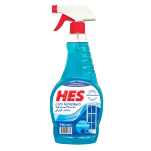 Cam Temizleyici 750 ml