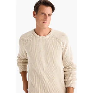 Standart Fit Bisiklet Yaka Triko Kazak E0992AX24WN