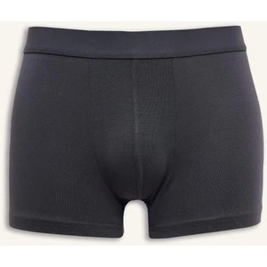 Premium Regular Fit Modal Boxer Z7165AZ25SM