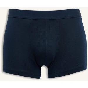 Premium Regular Fit Modal Boxer Z7165AZ25SM