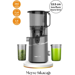 Slow Juicer Yavaş Sıkım Katı Meyve Sıkacağı Sorbe ve Dondurma