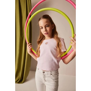 Kız Çocuk Slim Fit Dar Kesim Bisiklet Yaka Kalp Desenli Ribana Kısa Kollu Tişört E0823A825SM