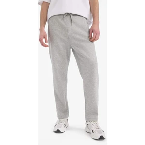 Regular Fit Fleto Cepli Düz Paça Kalın Eşofman Altı D7601AX25SP