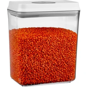 Ptc60Fcn29 Dikdörtgen Saklama Kabı 2,9 Lt