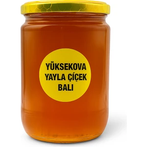 Ture Gurme Yüksekova Yayla Çiçek Balı 850GR