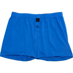 The Don Erkek Mavi Boxer