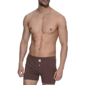 The Don Erkek Kahverengi Boxer