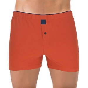 The Don Erkek Kiremit Boxer