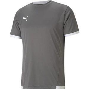 Teamliga Jersey Erkek Futbol Forması 70491713 Gri