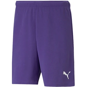 Teamrise Short Erkek Futbol Şortu 70494210 Mor