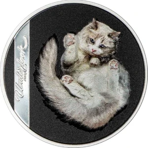 Beyaz Kedi 2024 Gümüş Sikke Coin