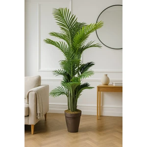 Maki Dekor 200 cm Yapay Areka Ağaç