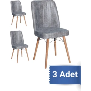 Avenza Living Kare Gold 3'lü Sandalye Mutfak Sandalyesi